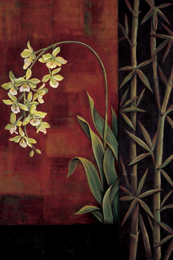 Green Orchid