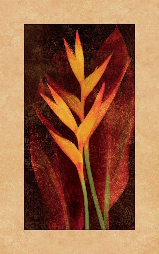 Heliconia