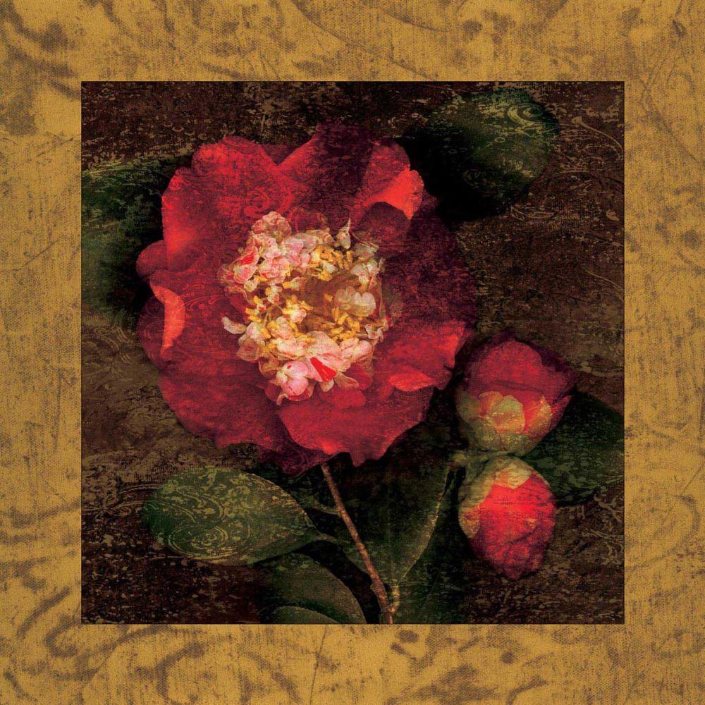 Red Camellias I