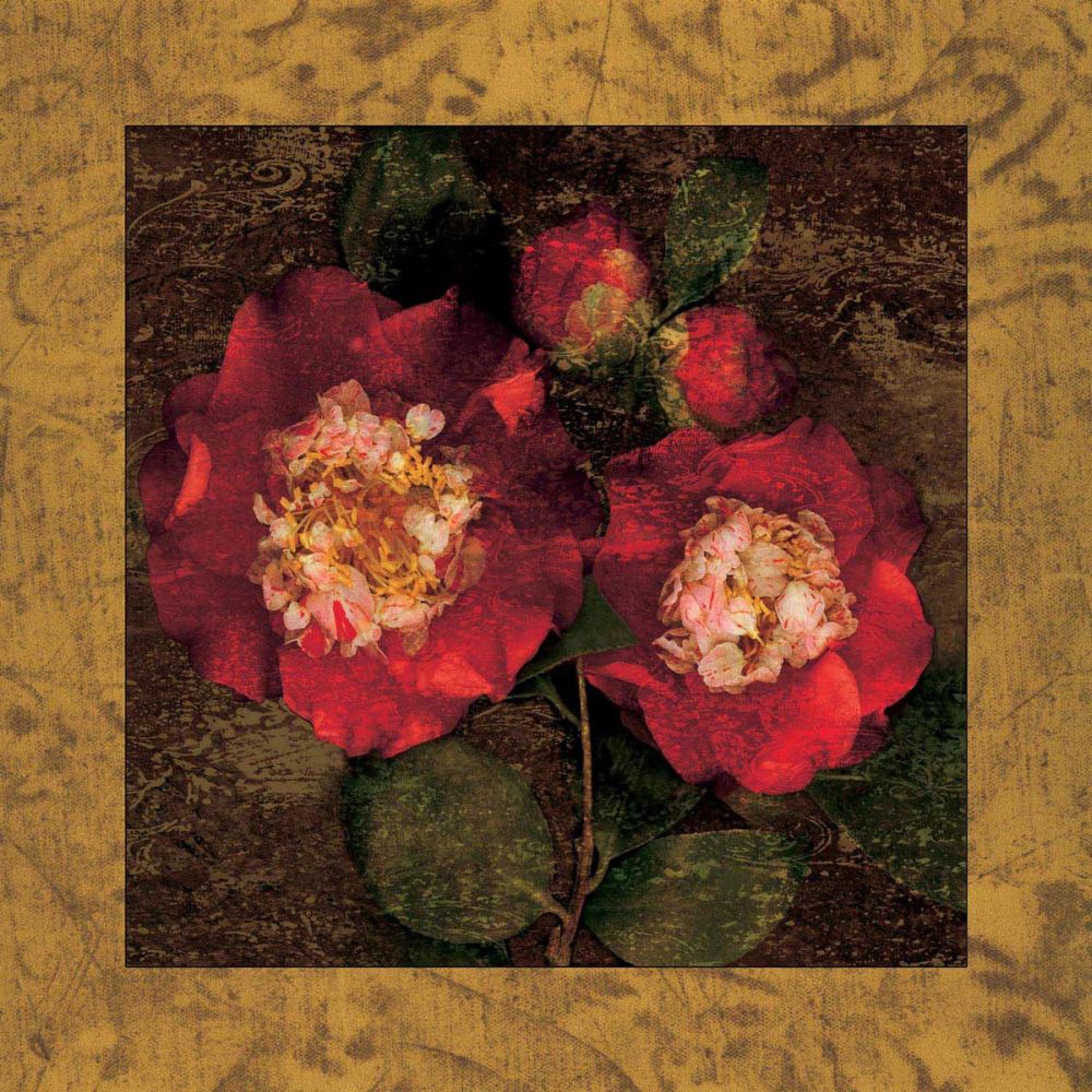 Red Camellias II