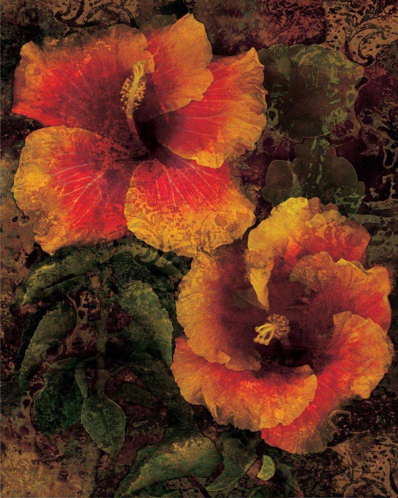 Hibiscus I