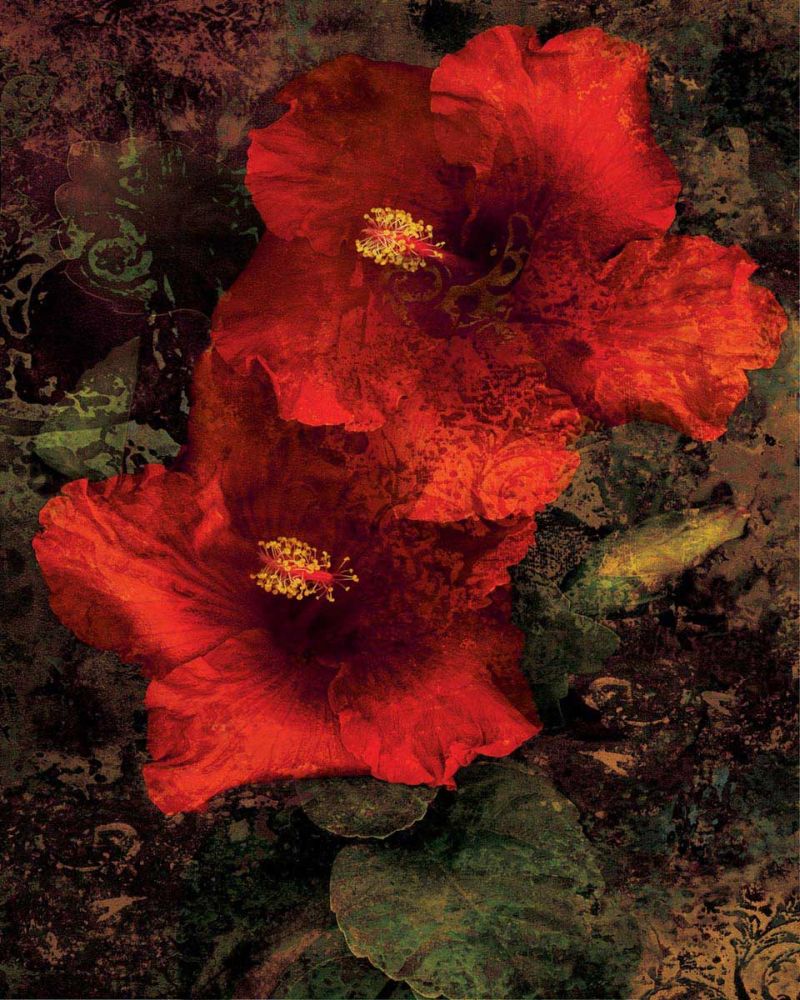 Hibiscus II