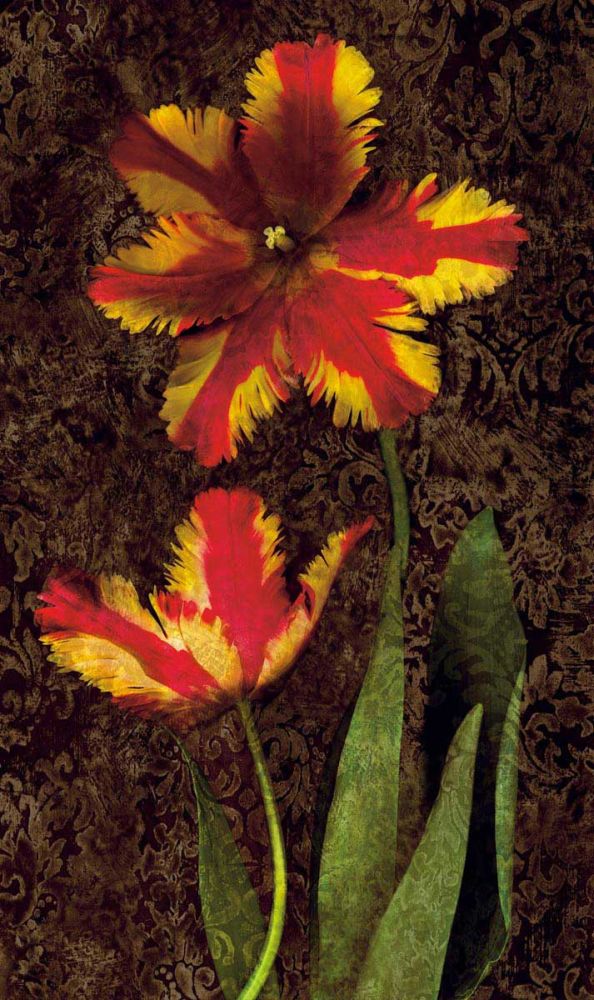 Decorative Tulips II