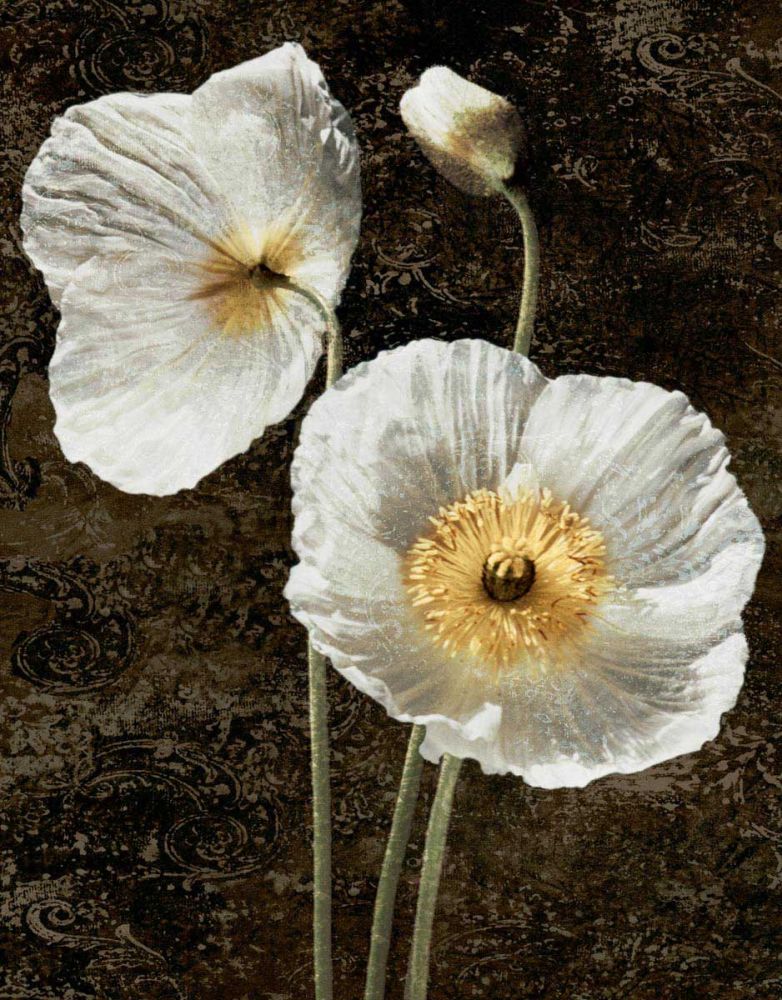 Poppies I