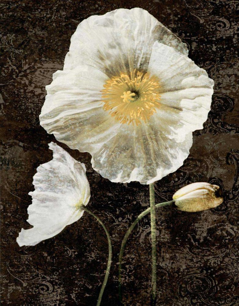 Poppies II