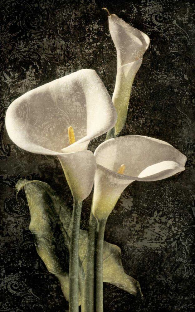 Callas I