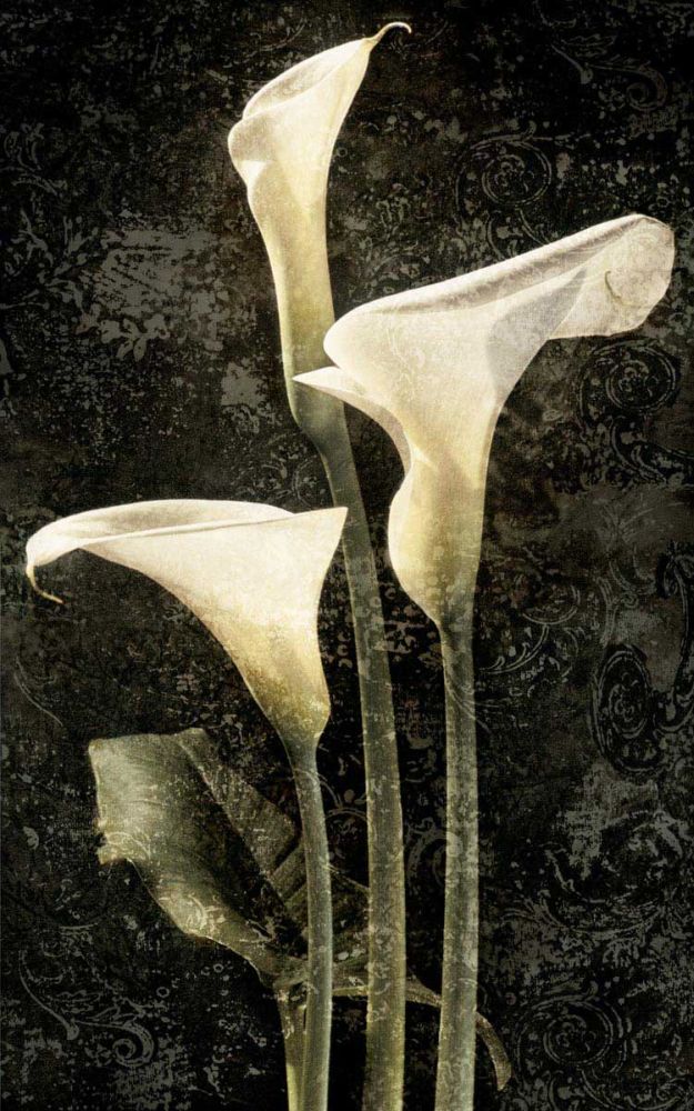 Callas II