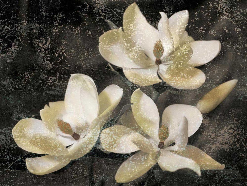The Magnolia Tree
