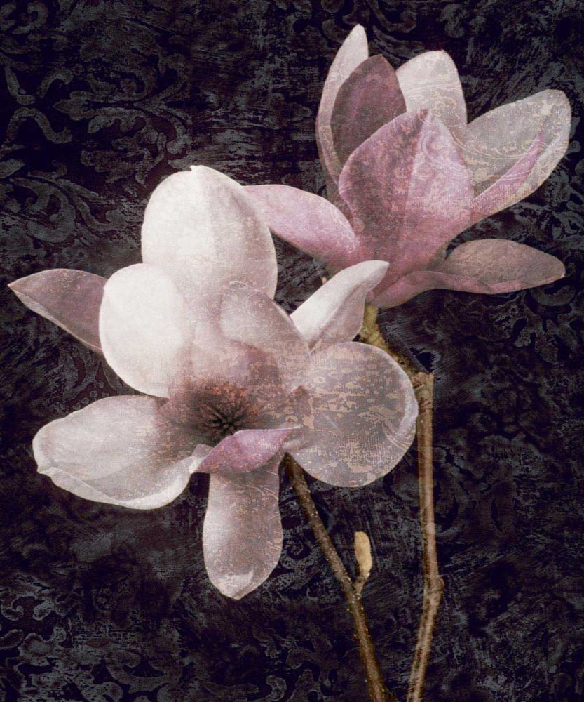 Pink Magnolias I