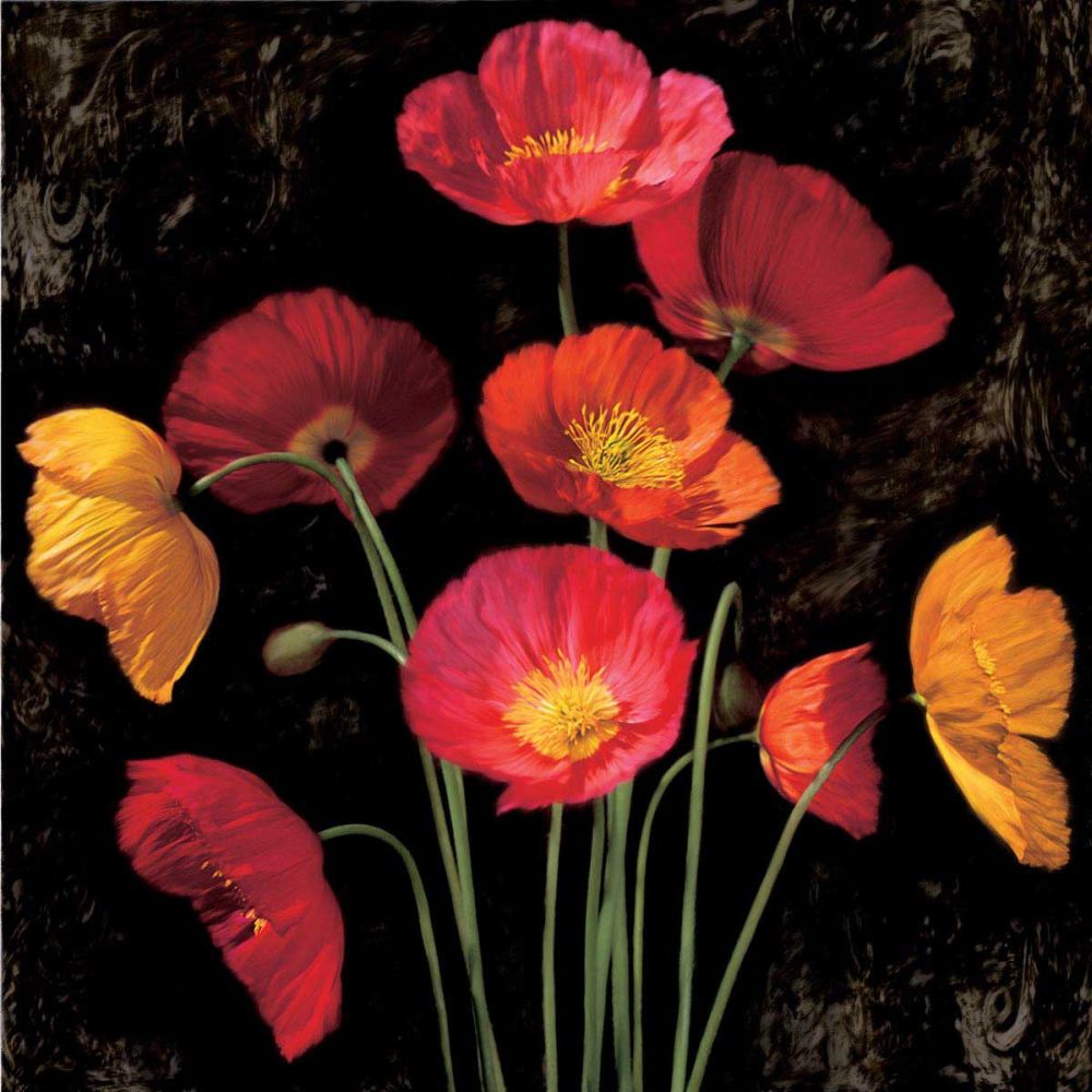 Poppy Bouquet I