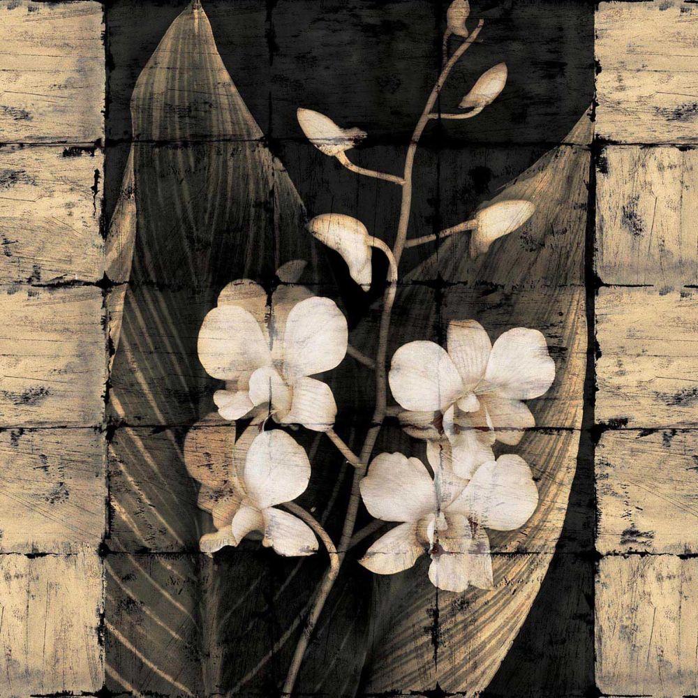 Orchids in Bloom I