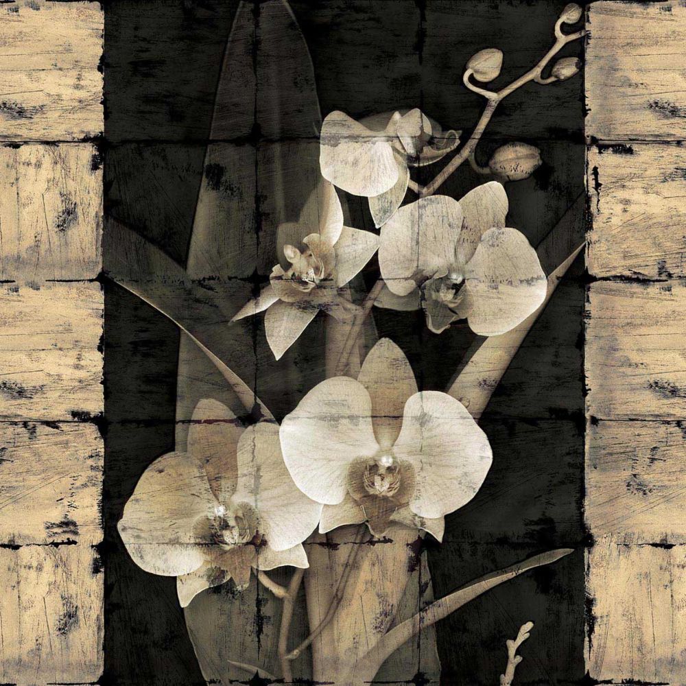 Orchids in Bloom II