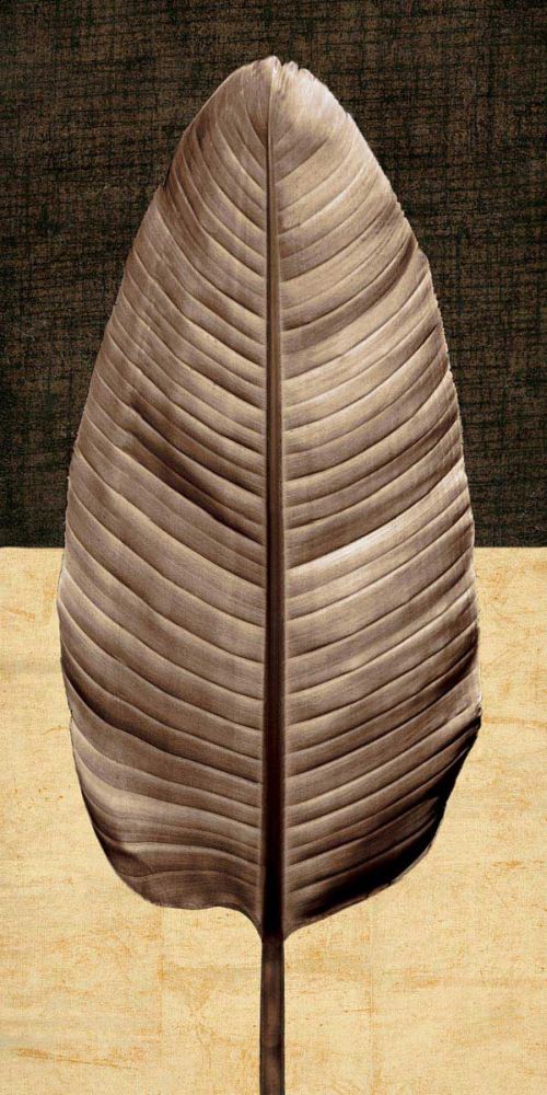 Palm Leaf II