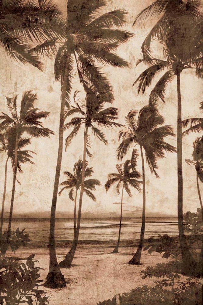 Trade Winds II