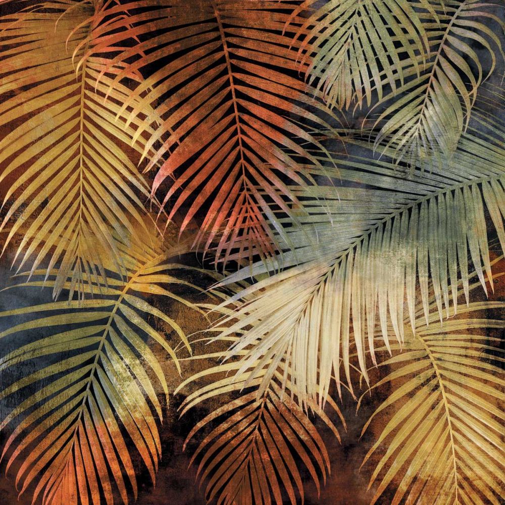 The Seychelles I