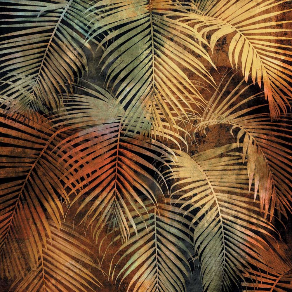 The Seychelles II