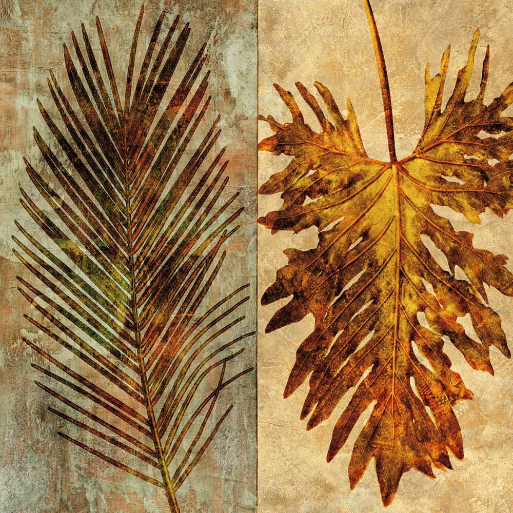 Palms Pairs II