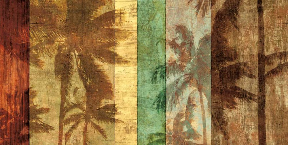 Palm Shadows II