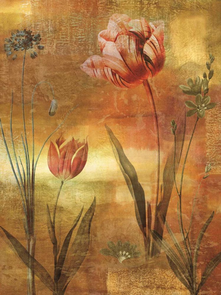 Tulip Garden II