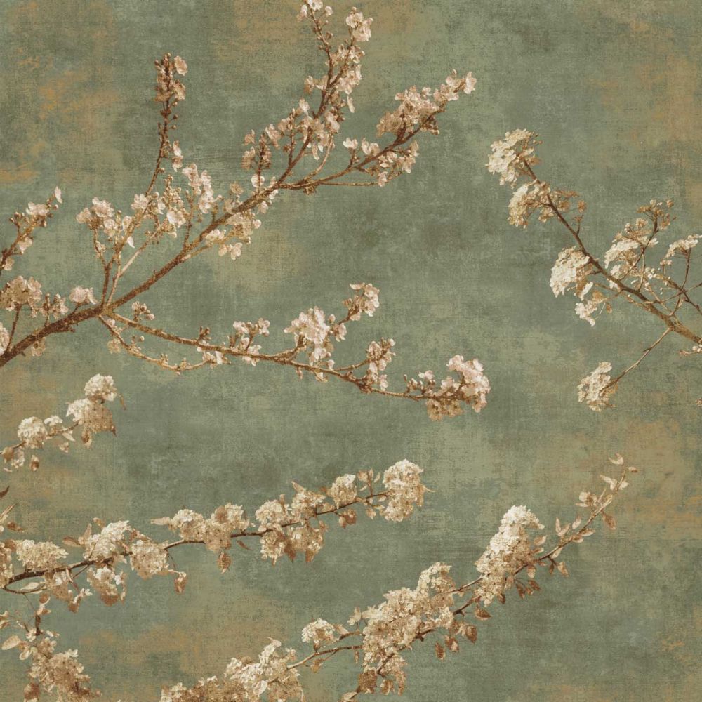 Morning Blossom II