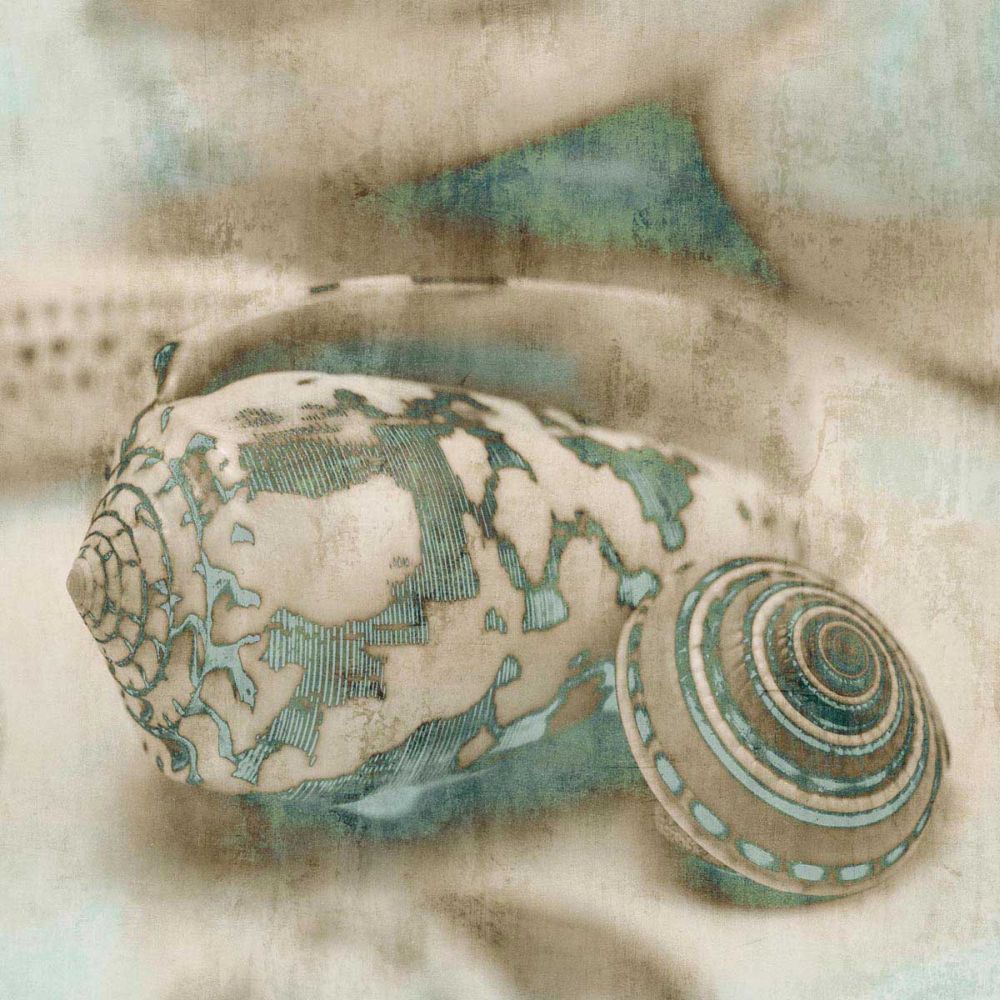 Coastal Gems I