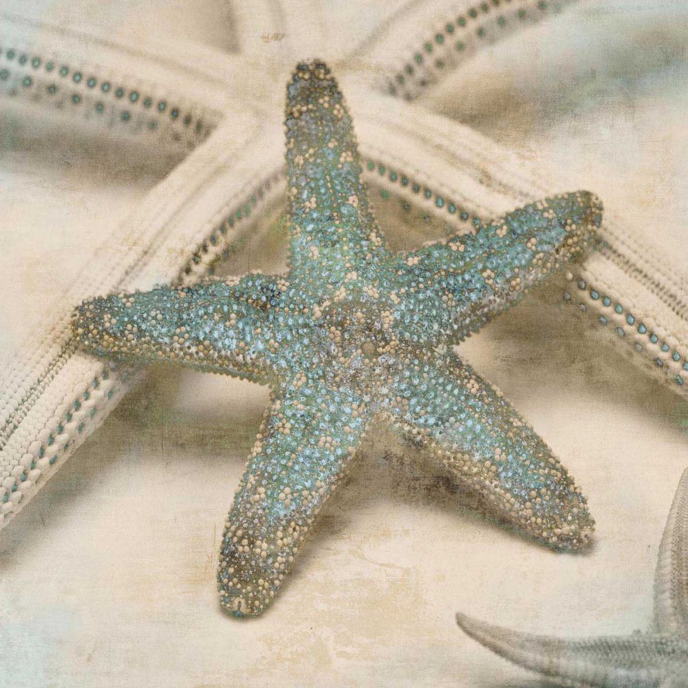 Coastal Gems III