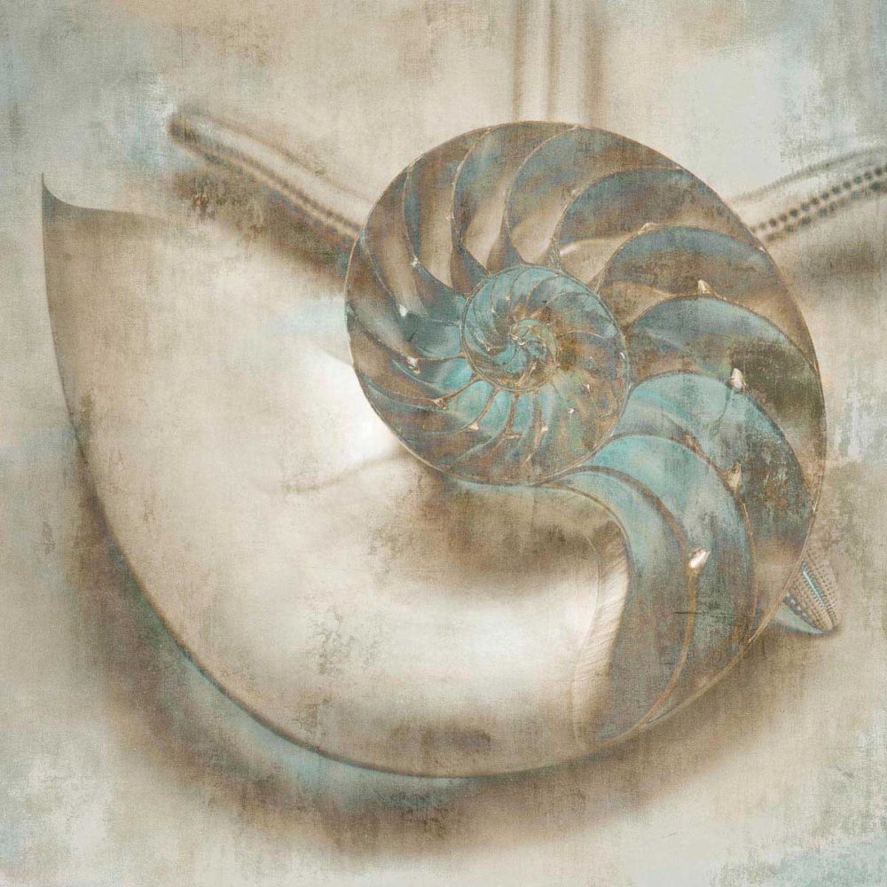 Coastal Gems IV