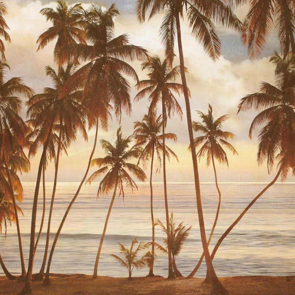 Palms on the Water I