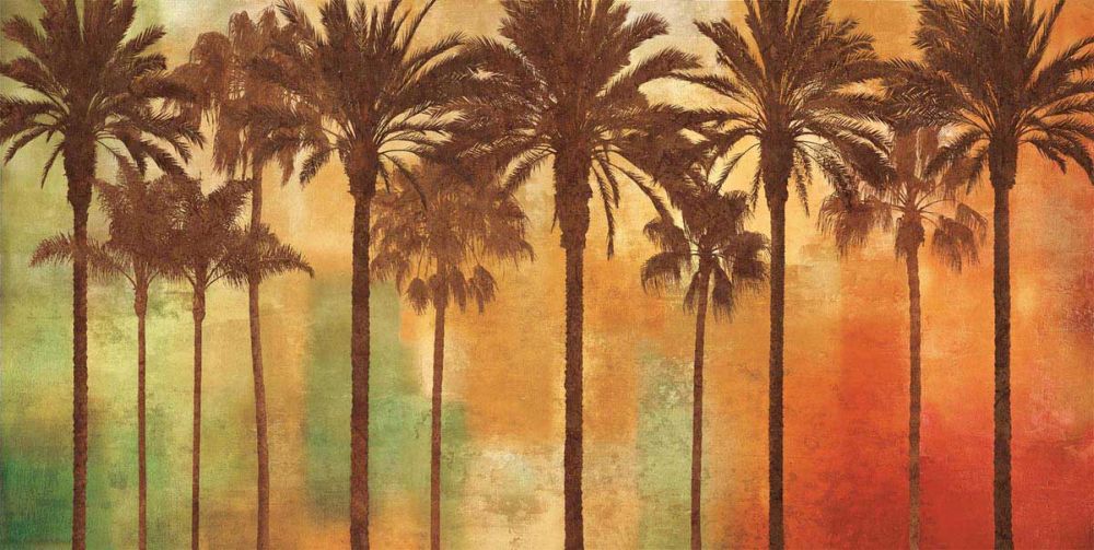 Palm Paradise