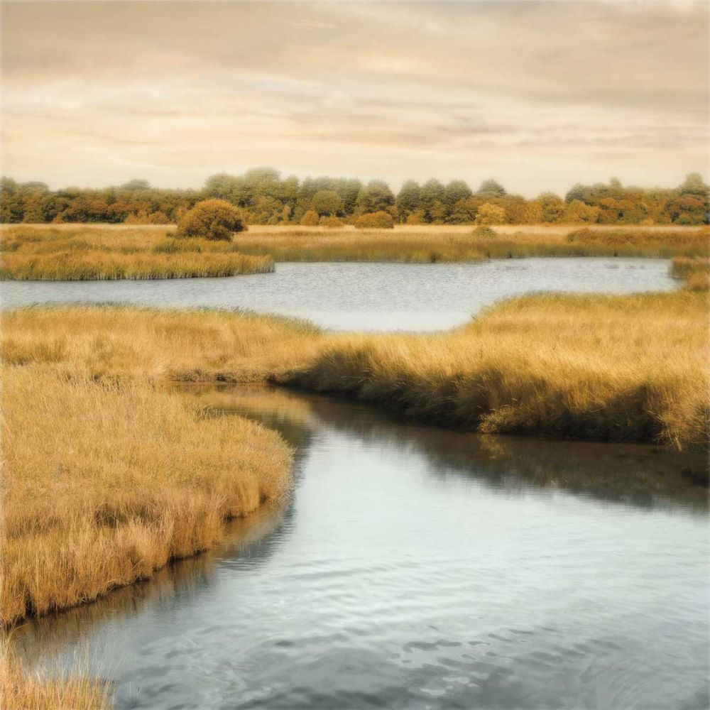 Morning Calm II