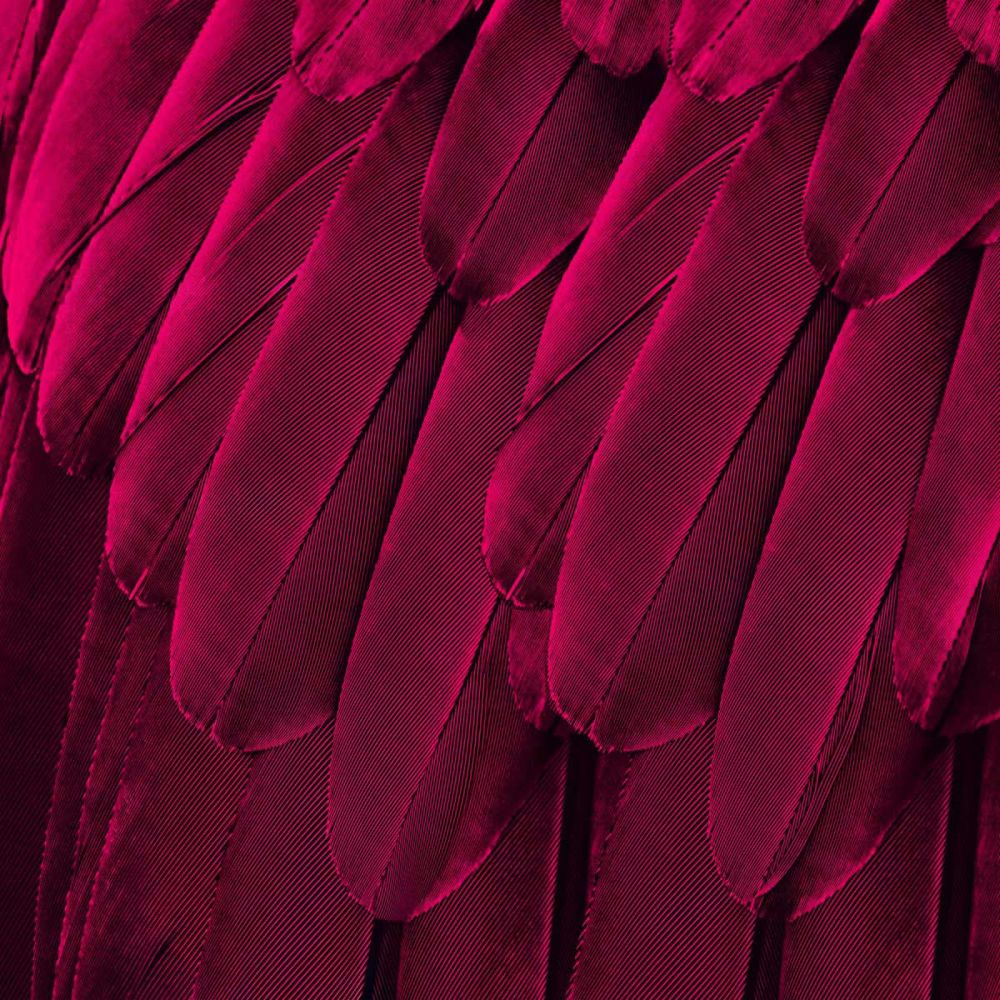 Feathered Friend - Magenta