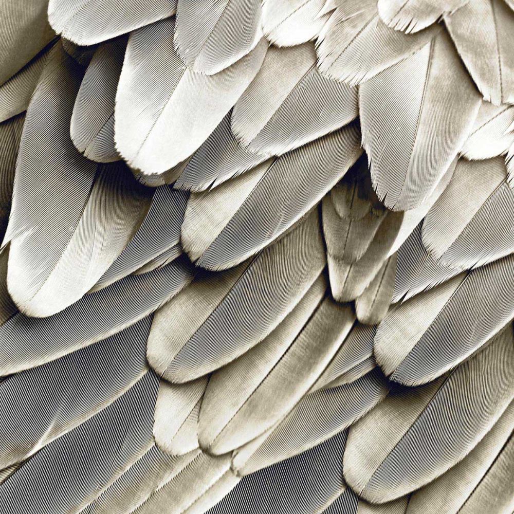 Feathered Friend - Pearl III