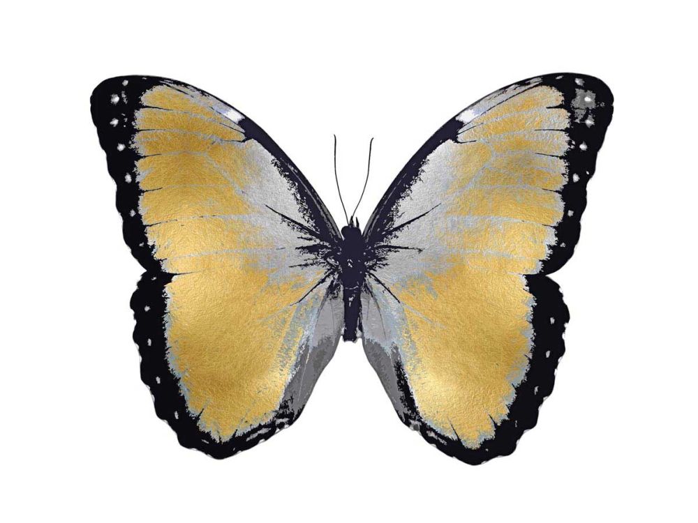 Butterfly in Metallic I