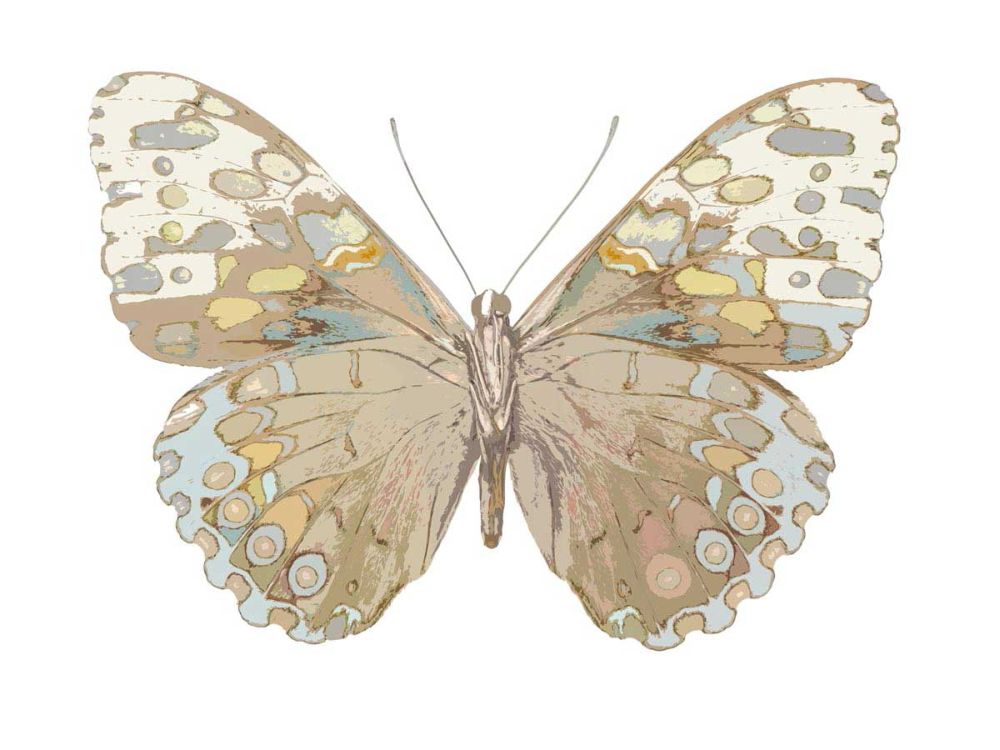 Butterfly in Taupe and Blue
