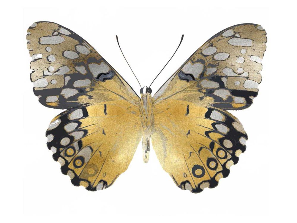 Golden Butterfly I