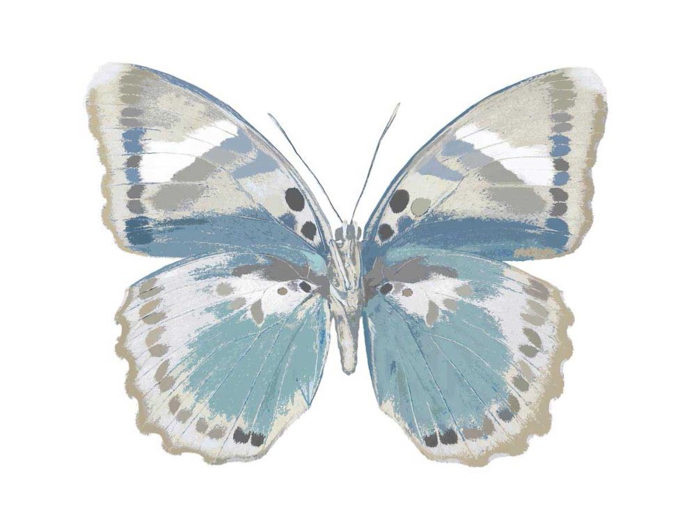 Butterfly in Green and Indigo