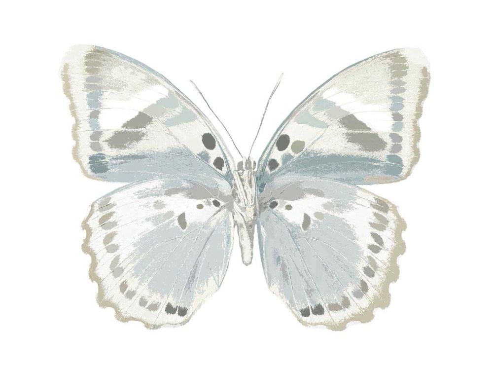 Butterfly in Mandarin