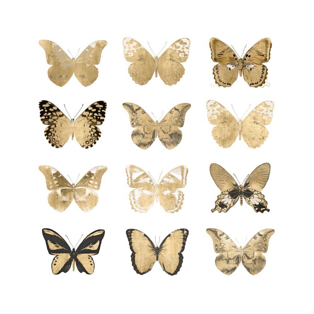 Butterfly Study in Gold II
