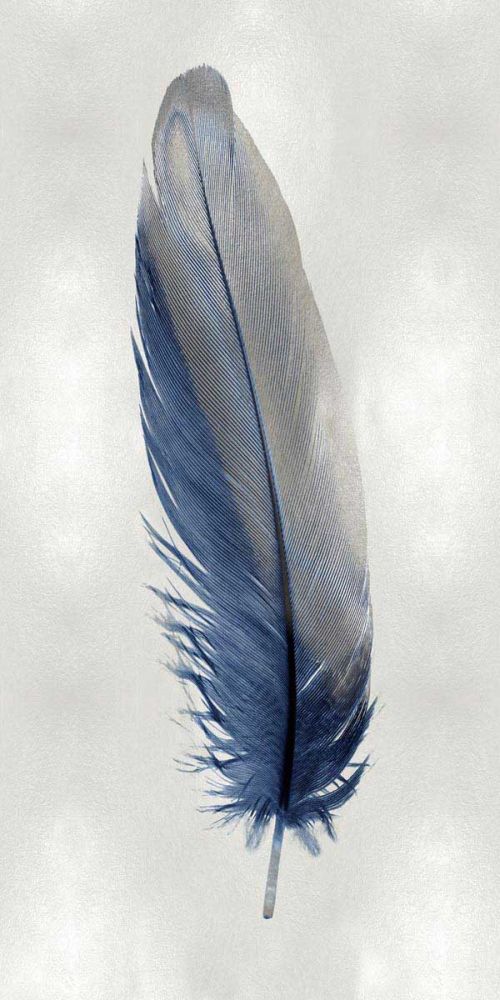 Blue Feather on Silver I