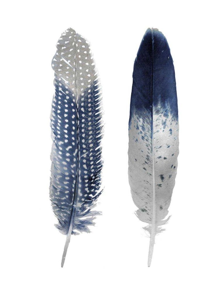 Blue Feather Pair