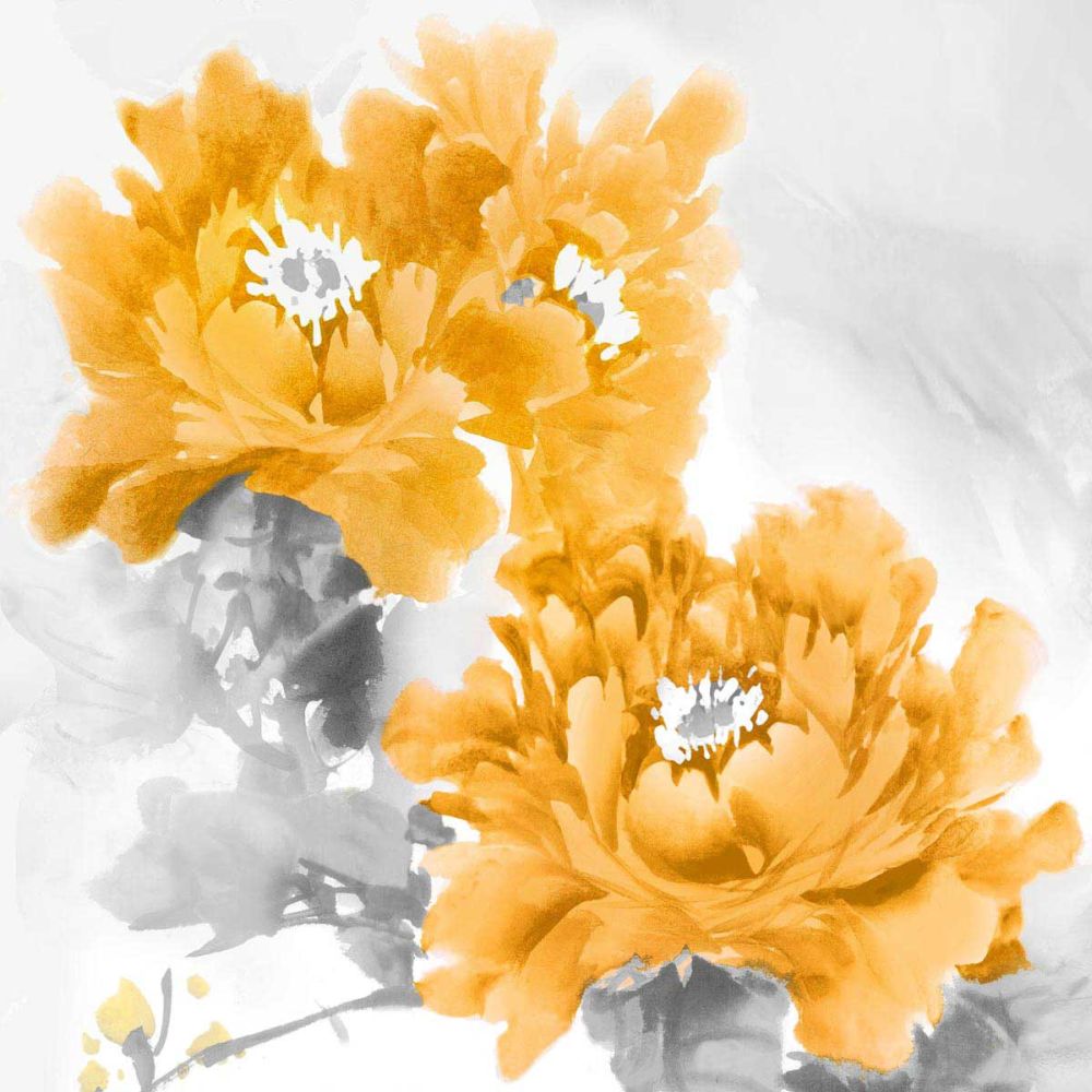 Flower Bloom in Mandarin II