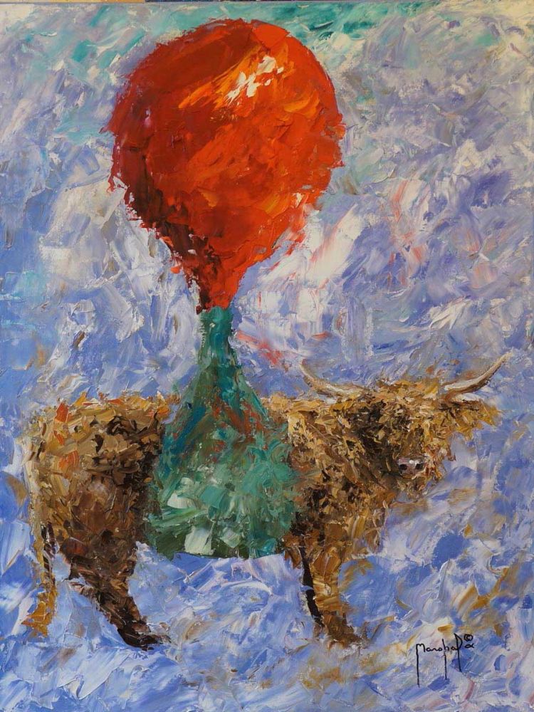 Steer
