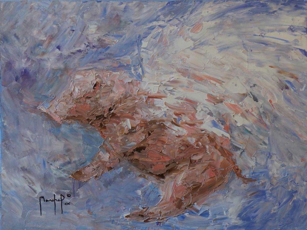 Heavenly Pig