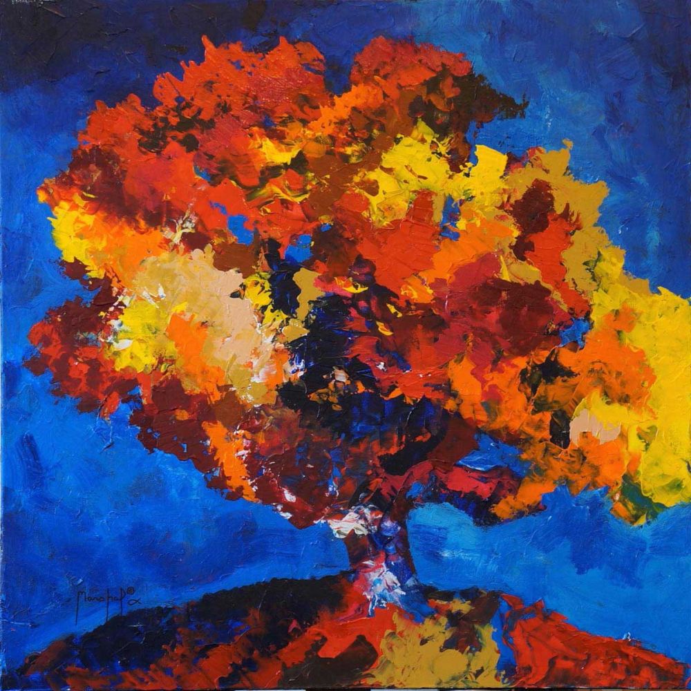 Orange Tree