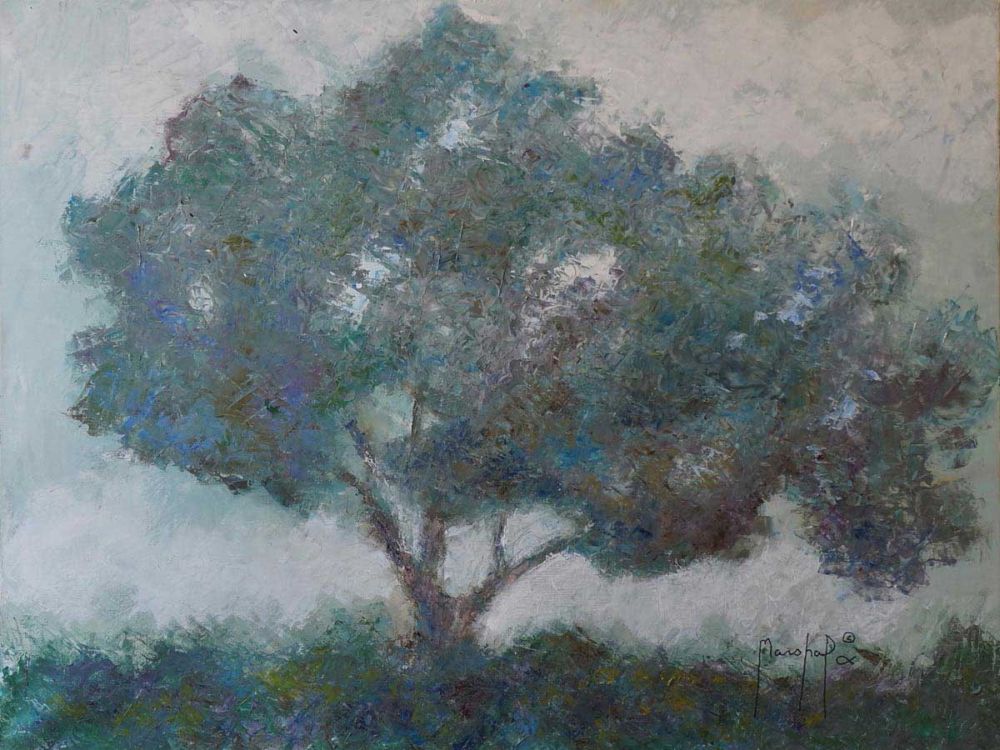 Mountain Top Tree