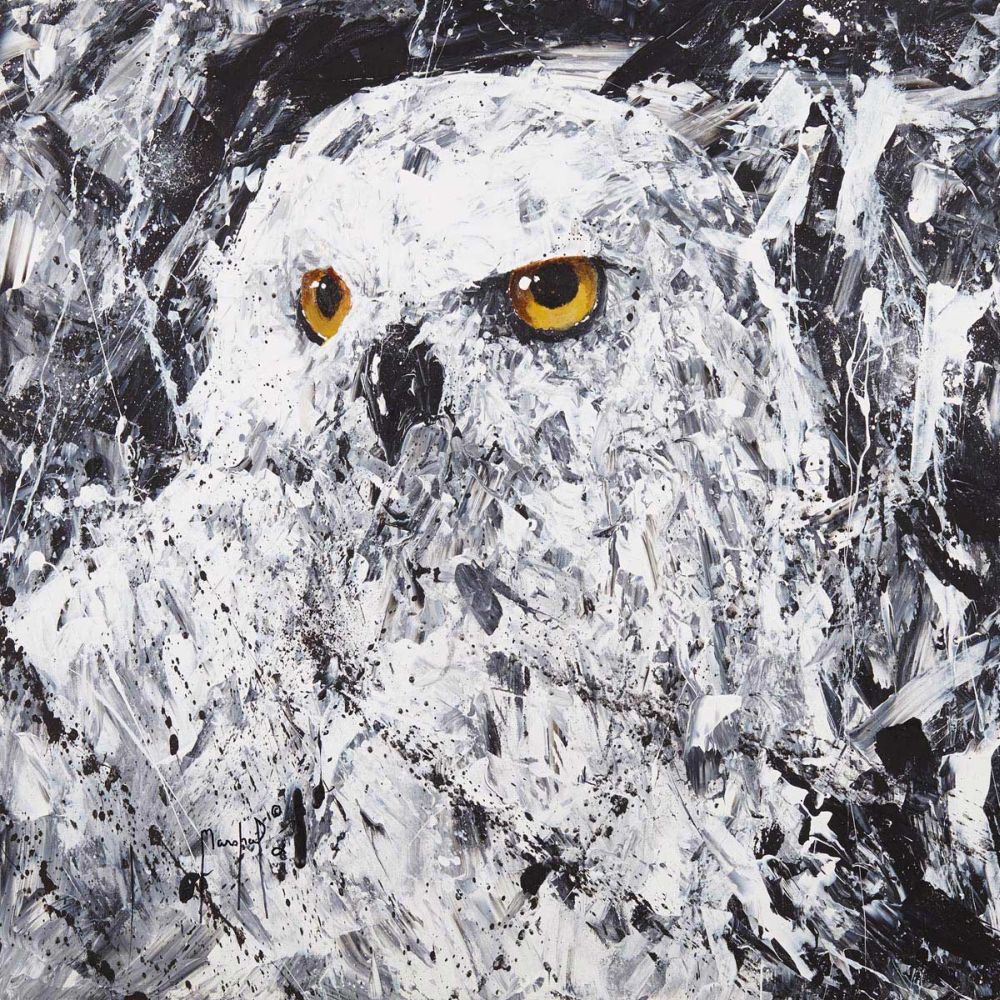 Owl III