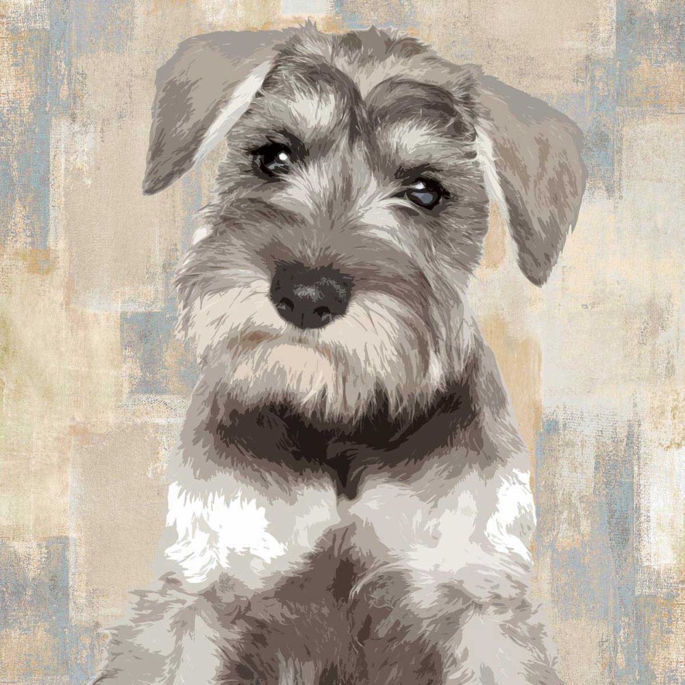 Miniature Schnauser