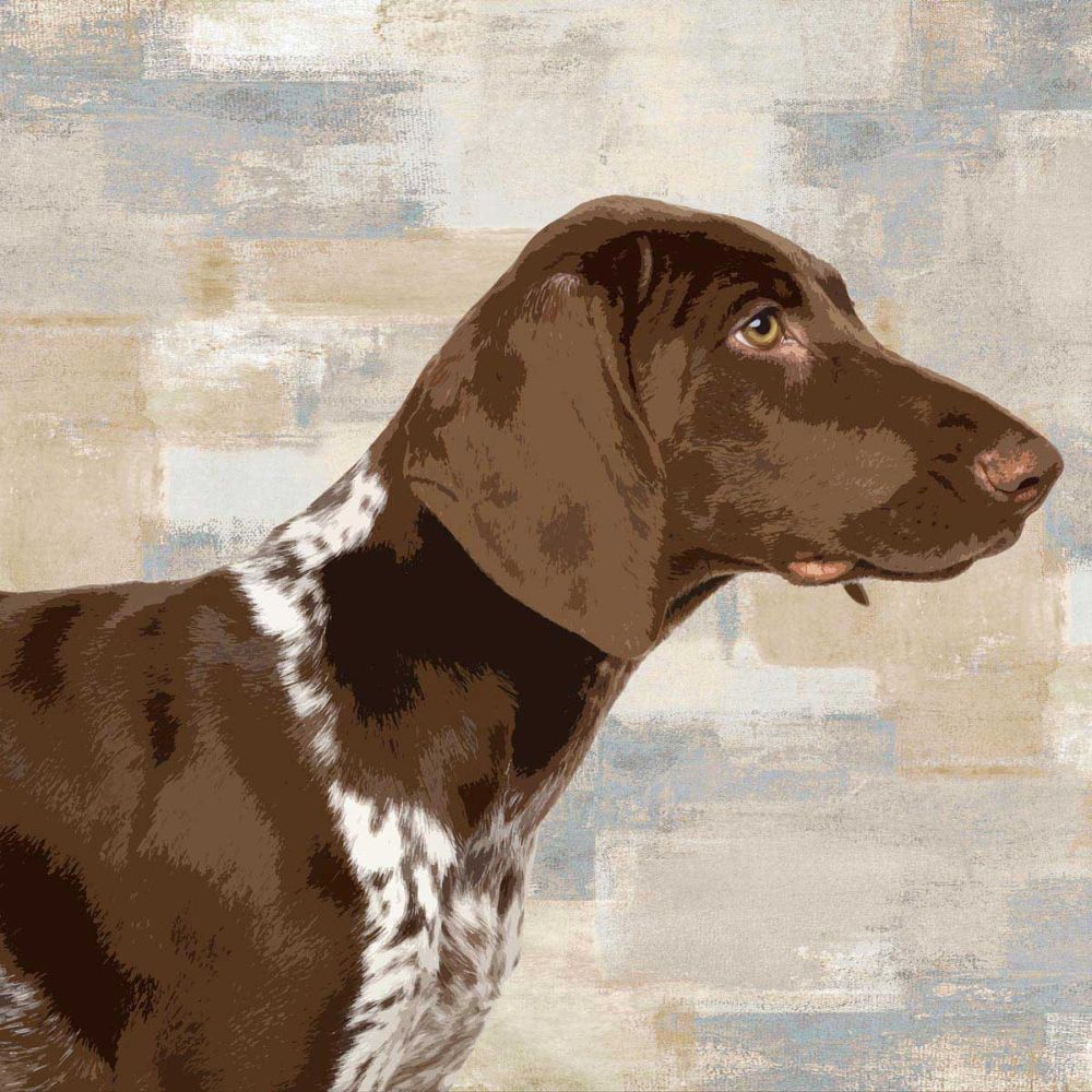 Pointer