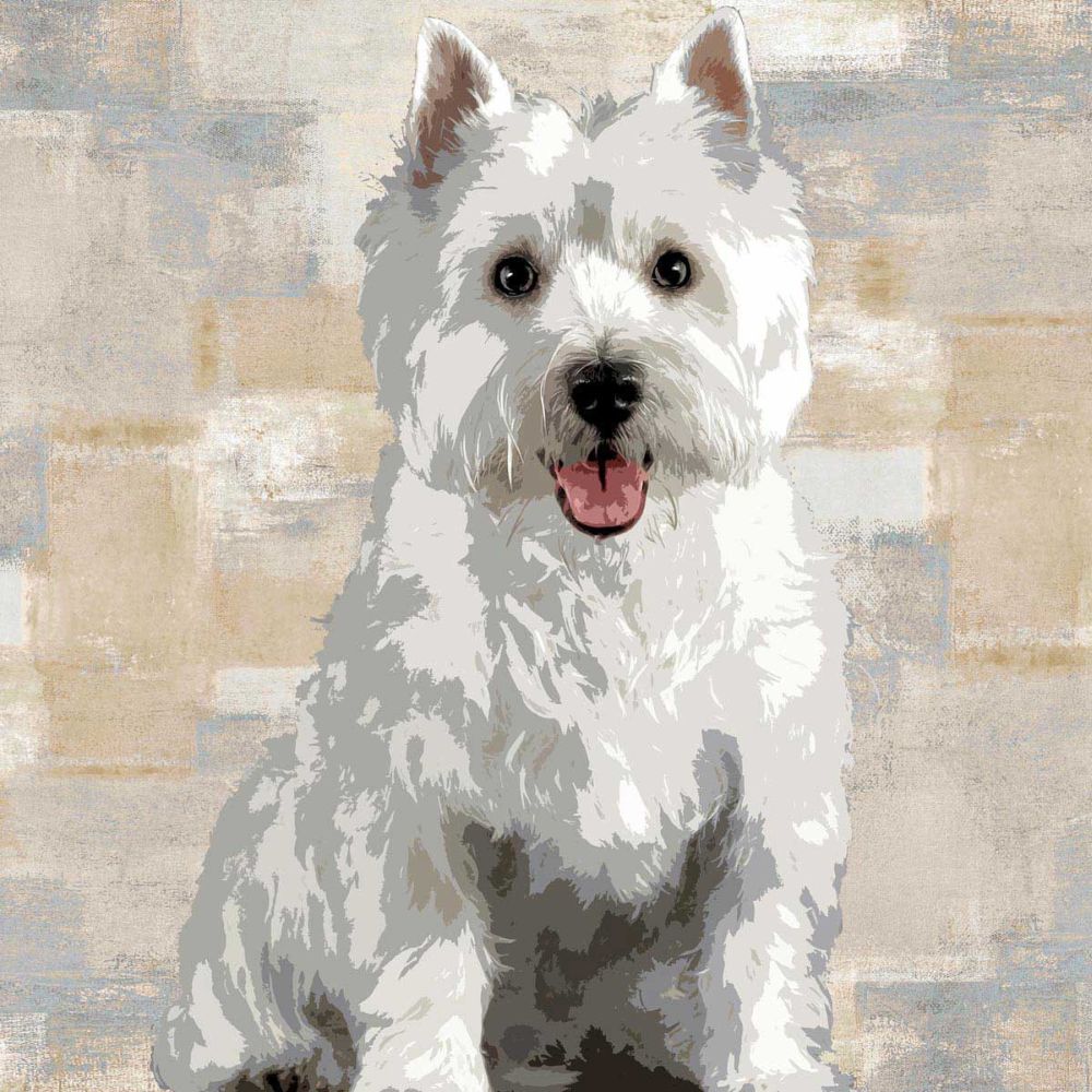 West Highland White Terrier