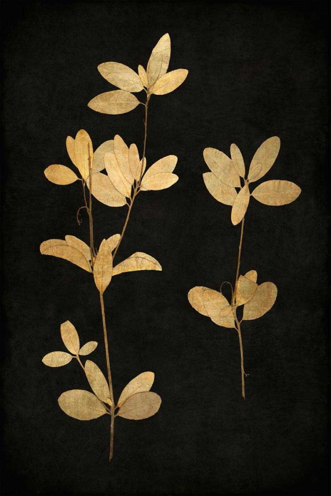 Golden Nature IV